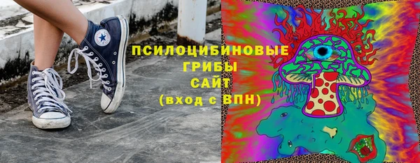 стаф Медвежьегорск