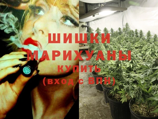 стаф Медвежьегорск