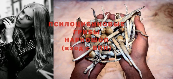 Альфа ПВП Алагир