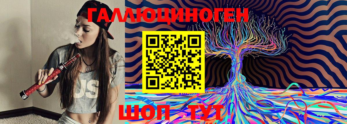 Галлюциногенные грибы Cubensis Родники