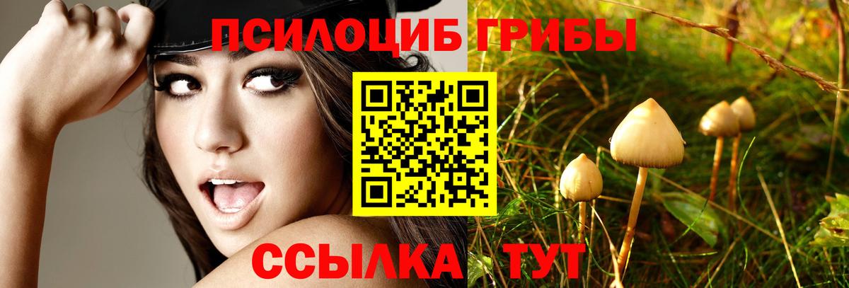 Псилоцибиновые грибы Cubensis  Вход с VPN  Родники 
