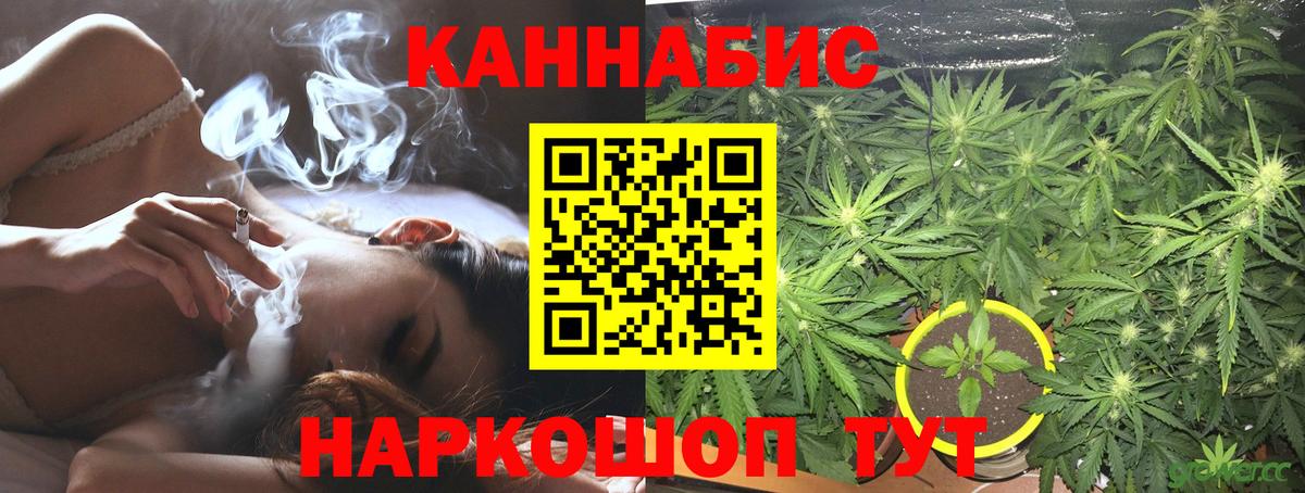 Шишки марихуана план  Вход с VPN  Родники  Бошки Шишки семена 