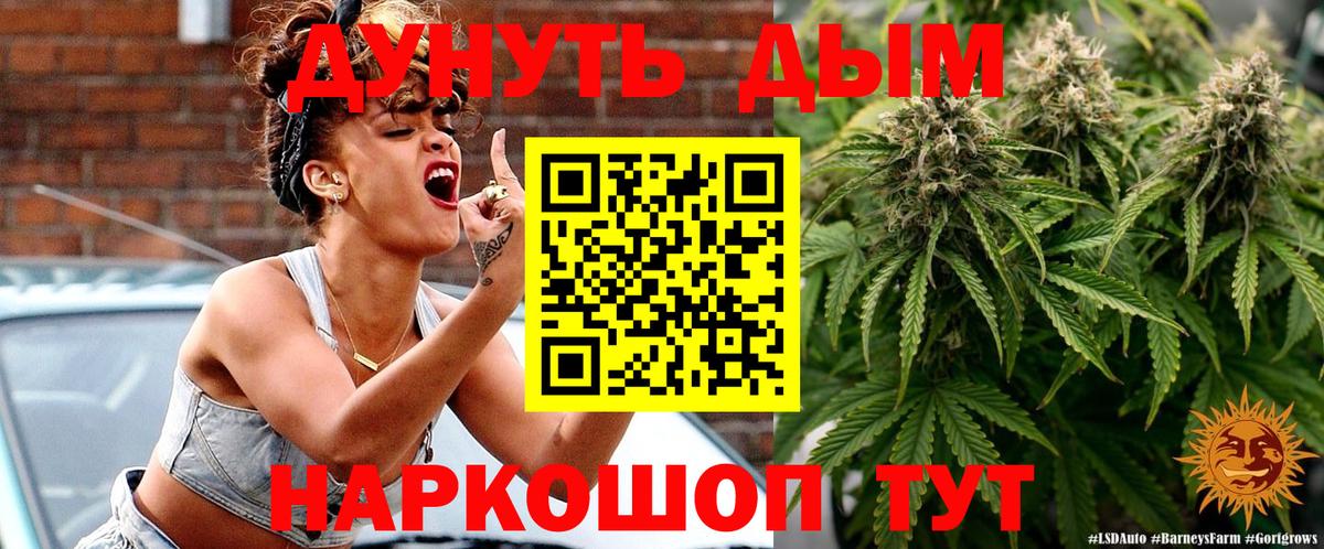 Шишки марихуана OG Kush Родники